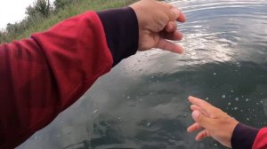 Судак на РАБОЧУЮ приманку! Рыбалка на джиг с лодки!