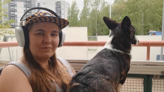 ARVOSTELUSSA: SteelSeries Arctis 7 -kuulokkeet смотреть онлайн