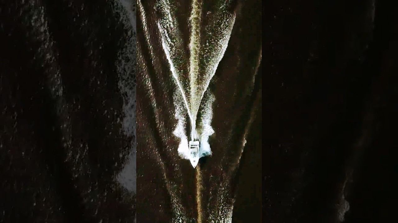 Phoenix 560 & Phoenix 530 смотреть онлайн