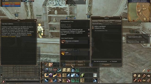 Lineage 2 Classic - одноразовые квесты, Деревня Эльфов (светлых)