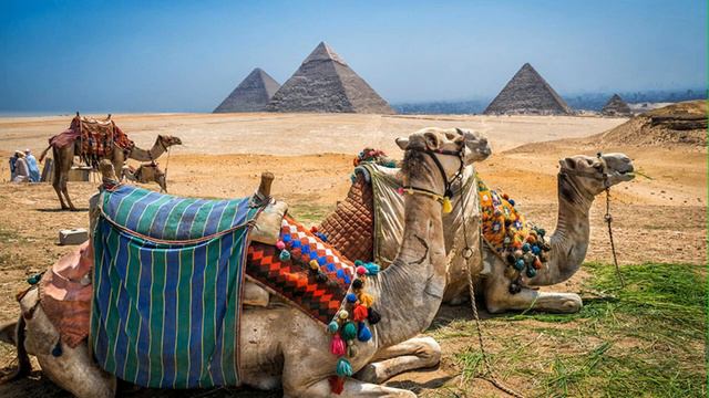 Долорес Кэннон – Многомерная Вселенная Том 1 ч 1 смотреть онлайн