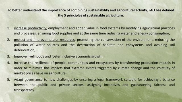 LEAF Seminar - Prof. Enrico Doria - University of Pavia (1/4) смотреть онлайн