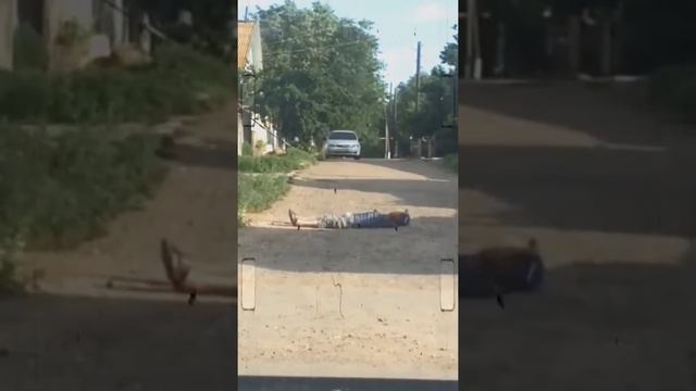 7.30 утра Астраханская обл.НАМ НЕКУДА СПЕШИТЬ смотреть онлайн