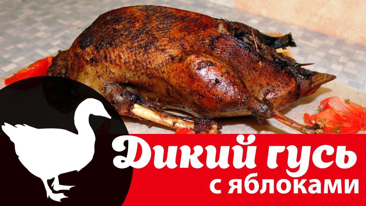 Дикий гусь, фаршированный яблоками в духовке: видео рецепт как приготовить целиком вкусно и быстро смотреть онлайн