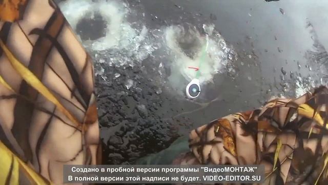 Рыбалка 2023 на льду хороший клев карася.Город Днепр. смотреть онлайн