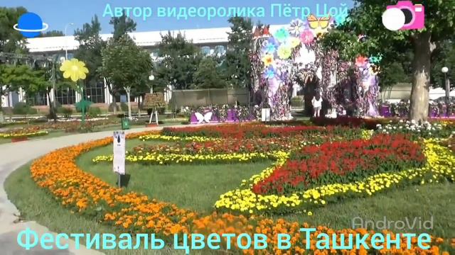 Фестиваль цветов в Ташкенте. Вера Ли "МУСИРО." смотреть онлайн
