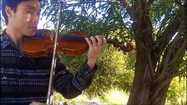 Clementi arr. Seitz Sonatina Op.36 No.3 Movement 1 for Violin смотреть онлайн