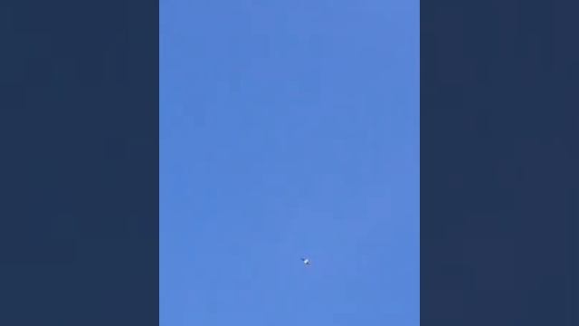 СОКОЛ САПСАН И ГОЛУБЬ И КОРОТКАЯ ЖИЗНЬ НАШИХ ГОЛУБЕЙ. FALCON PEREGRINE AND DOVE!!! смотреть онлайн