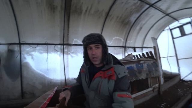 Цесарки. Условия содержания, разведения и помещение для Цесарок ??? смотреть онлайн