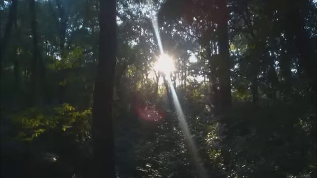 Beethoven Horn Sonata Rondo played with Natural Horn смотреть онлайн