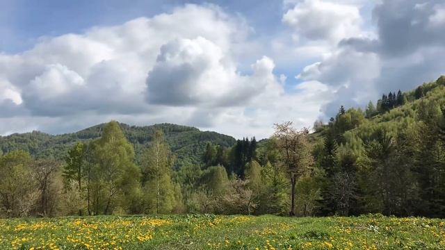 Свет и тень (таймлапс) смотреть онлайн