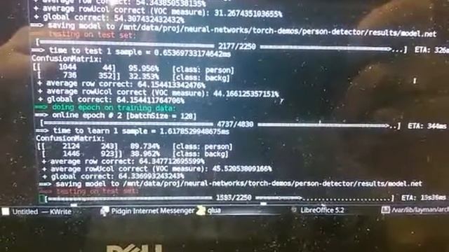 AI Neural Network - Torch - Person Detector - Training Progress on Nvidia 960M with 2GB of ram смотреть онлайн
