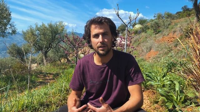 Episodio 33 | Goumi (Elaeagnus multiflora) смотреть онлайн