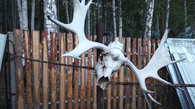 Стань строителем Живой Бани //Живая Баня Иван Бояринцев смотреть онлайн