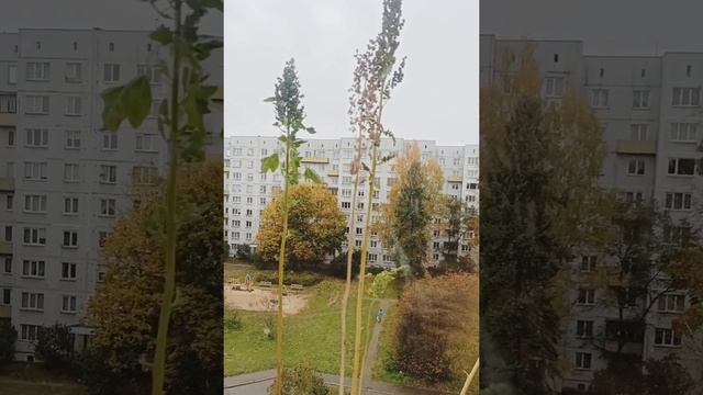 Снежный четверг в Риге смотреть онлайн