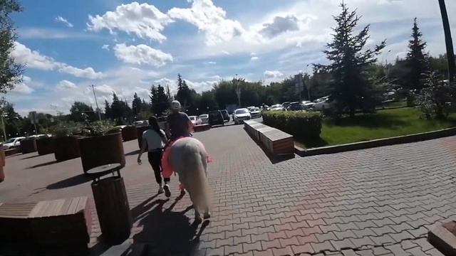 Влог. Отдых в Красноярске. смотреть онлайн