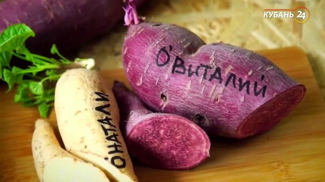 Самый вкусный Батат. #batatchudo #чудобатат смотреть онлайн