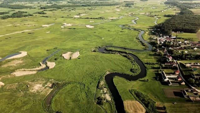 Получив смертельный диагноз, девушка считала последние дни, но ей встретился волк и случилось чудо смотреть онлайн