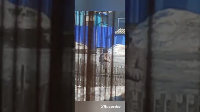 фото 2 смотреть онлайн