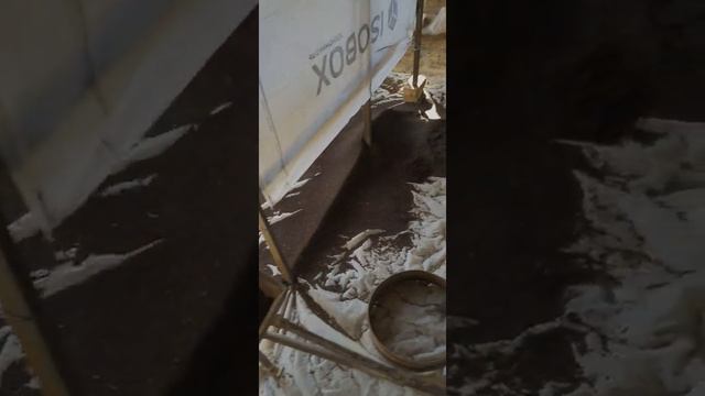 Биогумус элаш Наманган вилият косонсой тумани +998931008822 смотреть онлайн