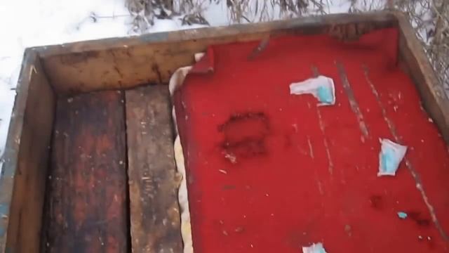 Жёсткая борьба с мышами в ульях вовремя зимовки на улице.Контрольная ревизия семей в зимнее время. смотреть онлайн