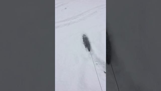 Норка в домашних условиях смотреть онлайн