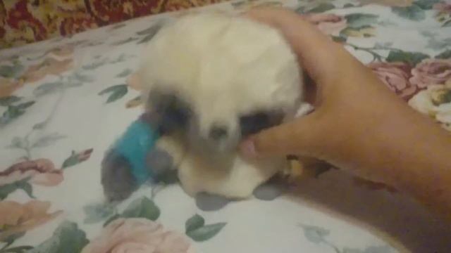 Танец игрушки под песню лето тут смотреть онлайн