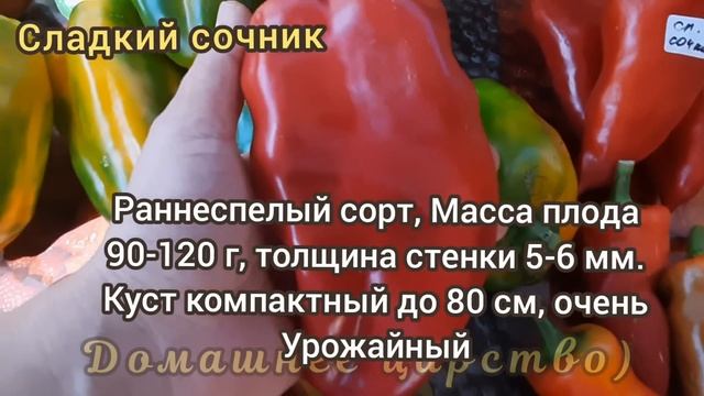 САМЫЕ УРОЖАЙНЫЕ СОРТА СЛАДКОГО ПЕРЦА смотреть онлайн