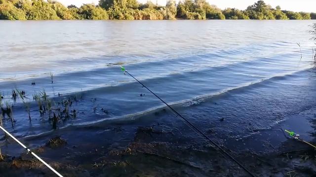 Впервые за пределы Крыма. Рыбалка Темрюк, р. Кубань смотреть онлайн