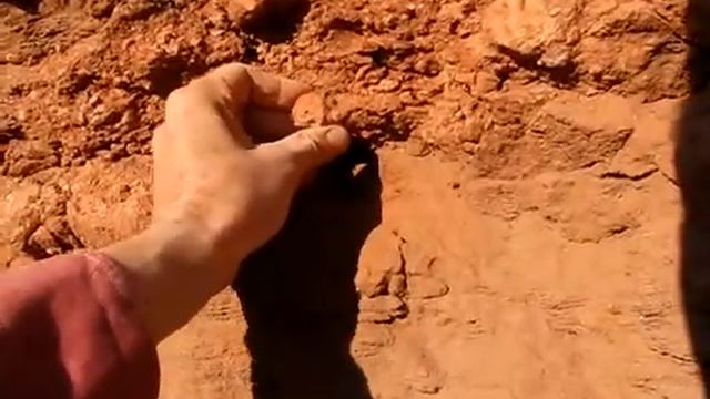 1 reptilii cent 2014 xvid смотреть онлайн