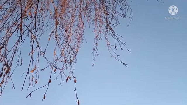 25 ноября 2021 г. смотреть онлайн