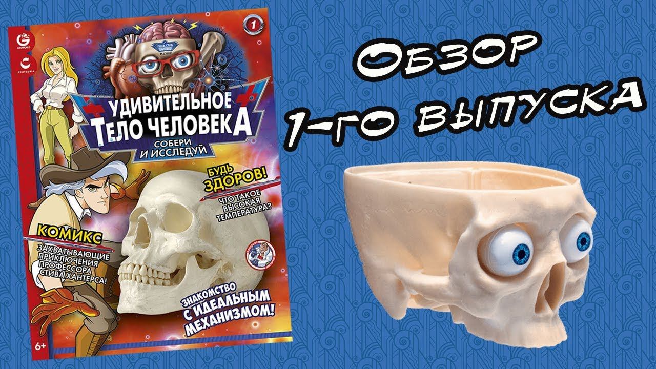Удивительное тело человека | Centauria | 1 выпуск смотреть онлайн