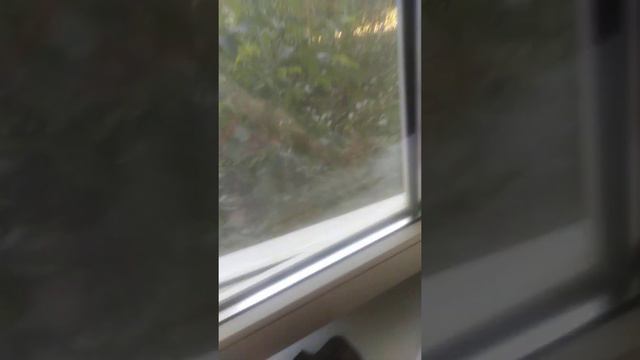 Нож который как бы из прошлого. смотреть онлайн