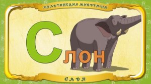 Мультипедия животных. Буква С - Слон