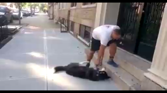 Не хочу домой! Только гулять смотреть онлайн