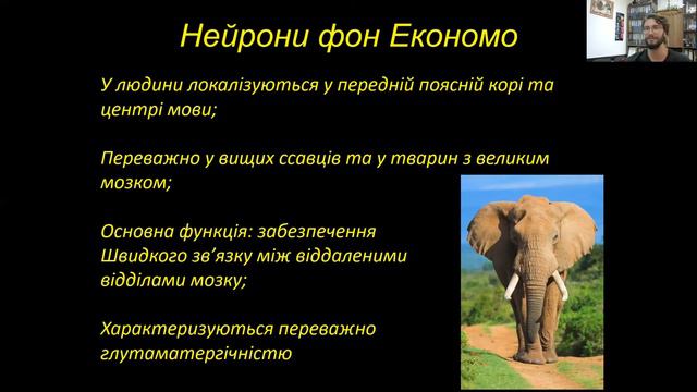 Сергій Гончаров: "Шизофренія" + обговорення кінострічки "Ігри розуму / A Beautiful Mind" смотреть онлайн
