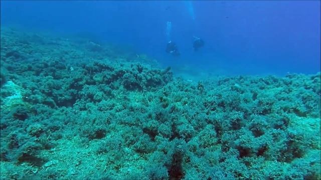 как водолазы нашли в старинном колодце в мексике несметные сокровища майя смотреть онлайн