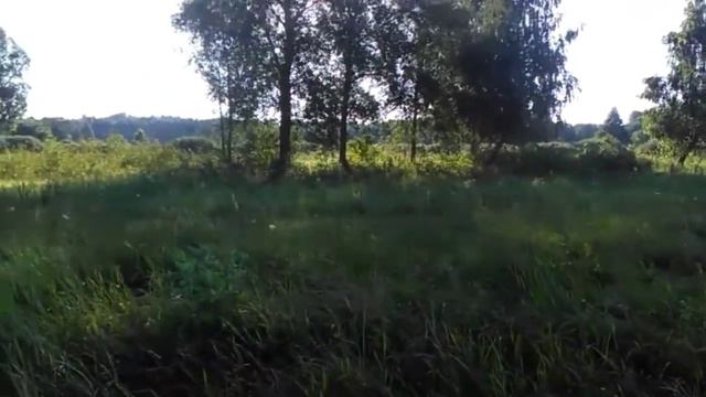 Ищем живность в поле , на этот раз очень удачно смотреть онлайн