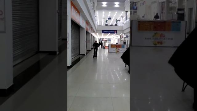 Первый раз на сигвее смотреть онлайн