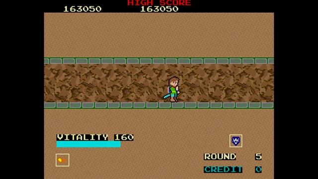 Dragon Buster [Arcade] (1985) Namco