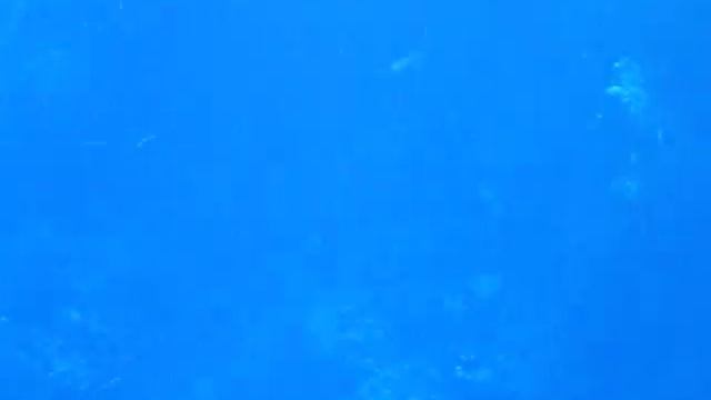 IMGP0278.MOV  КУВЫРКИ РАДОМТИ !
