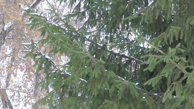 Исцеление от диабета Для женщин Лечебные настрои академика Сытина Г.Н. смотреть онлайн