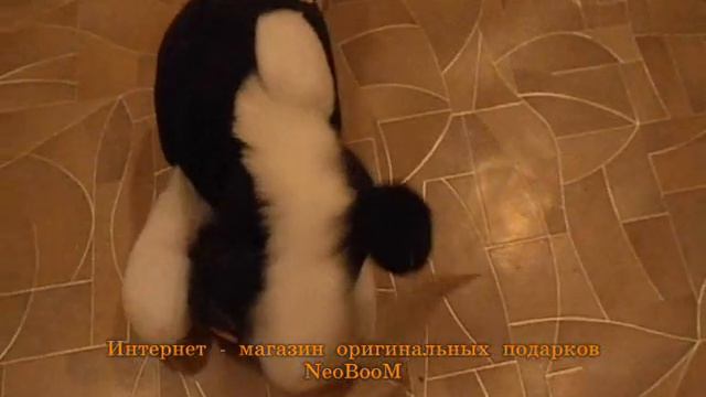 Интерактивная игрушка Лошадка смеющаяся смотреть онлайн