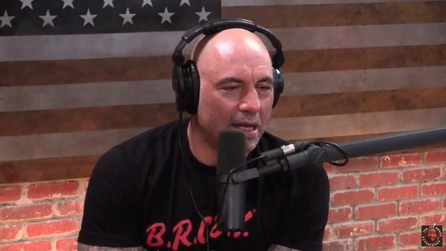 Joe Rogan | 17 Foot Python Found in the Everglades смотреть онлайн