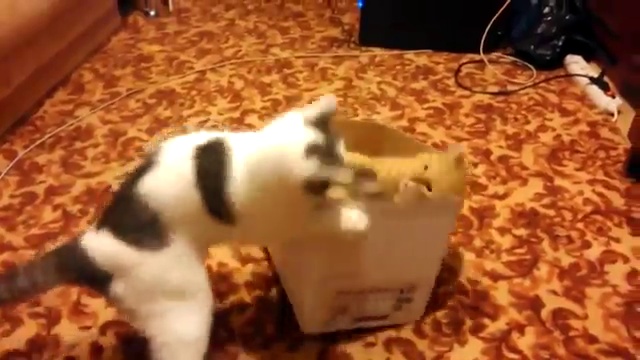 Кто жирнее тот и главный смотреть онлайн