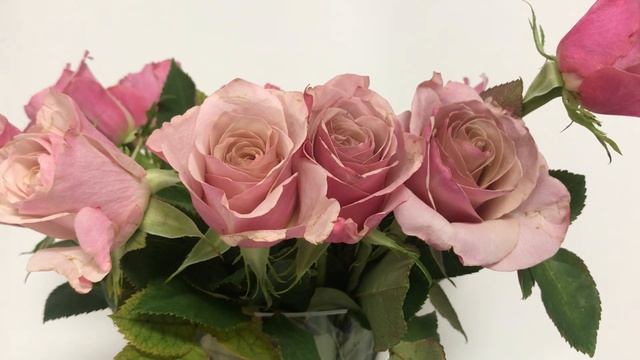 Зачем человек кушает и пьет? Тора. Ваякель. Благословения на еду. смотреть онлайн