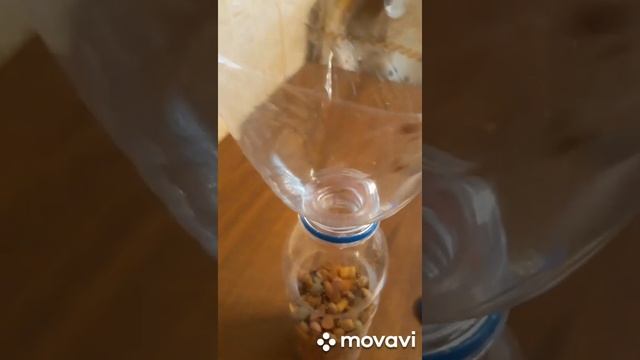 ЛАЙФХАК/Как хранить сухой корм. смотреть онлайн