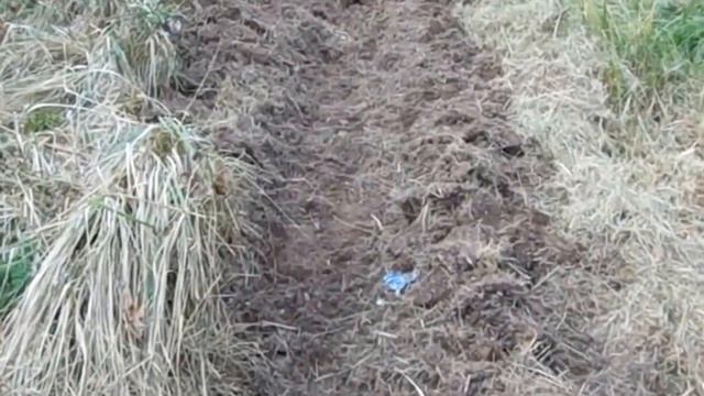 Посадка малины смотреть онлайн