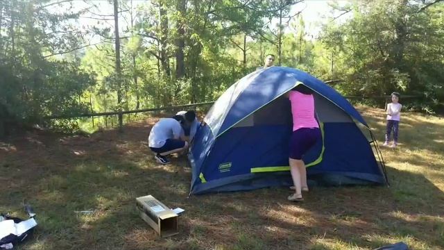 НАКОНЕЦ-ТО РЕШИЛИСЬ! Ночь у костра в США