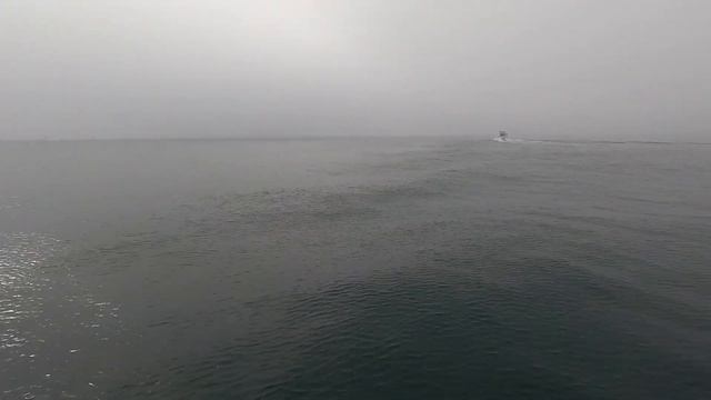 Камчатка. Морская прогулка до Русской бухты смотреть онлайн